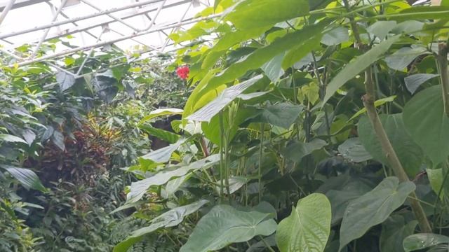 РАЙСКОЕ место в зимнем парке!!!