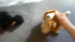 Котёнок по имени Гав 2 серия