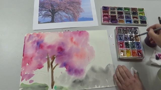 Магия сакуры смотреть онлайн