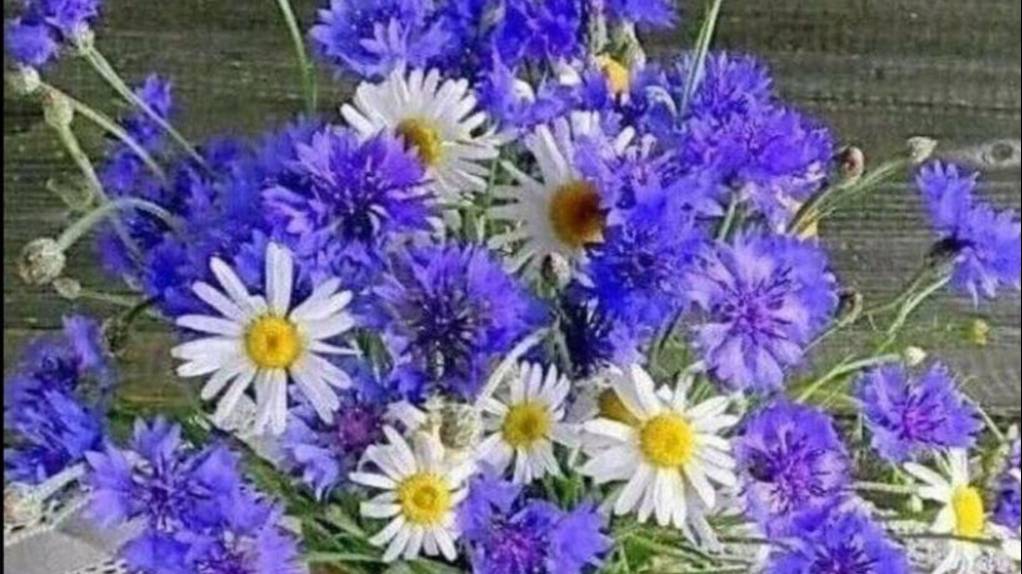 Гостят внуки. играем в игры.Готовим.* Купила аэрогриль. смотреть онлайн