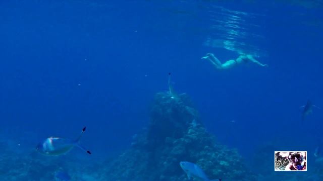 Snorkeling - Сноркелинг (Подводное плавание)