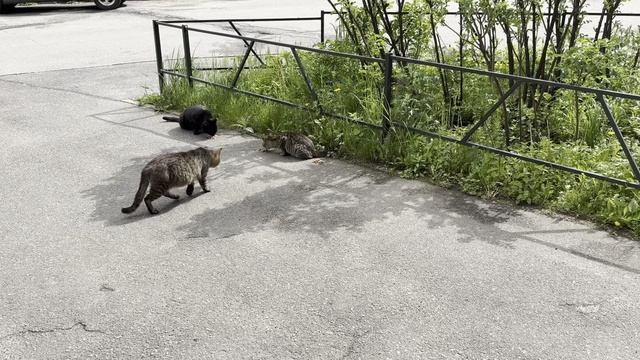 Хорошо, что всегда беру ……. смотреть онлайн