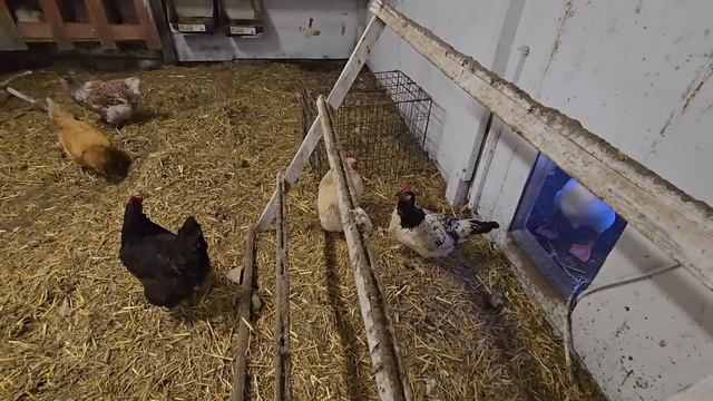 ГОТОВЛЮ СЛАДОСТИ НА ПРАЗДНИК ДЛЯ СЕСТРЫ.