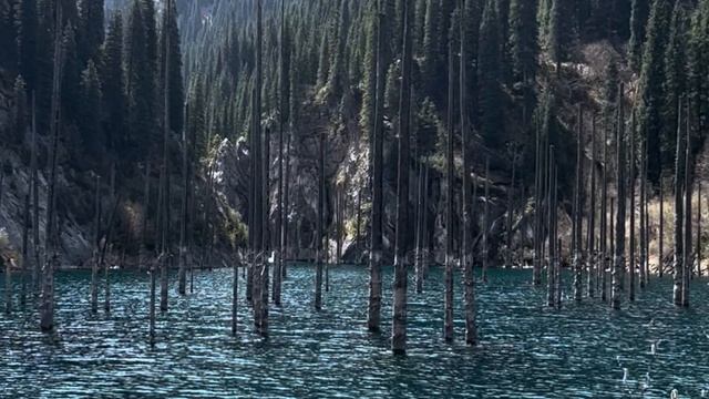Charyn Canyon  .Чарынский каньон 🇰🇿 Казахстан