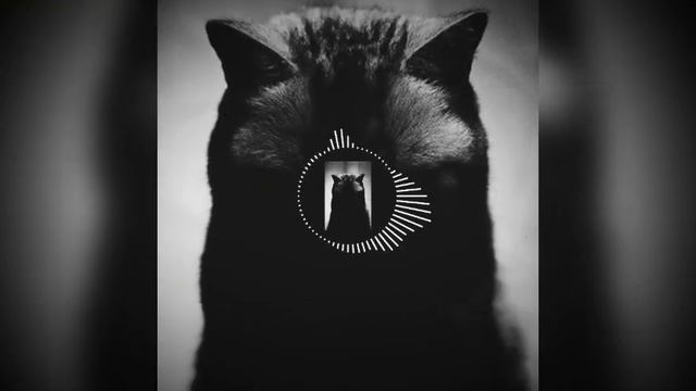 Bula+feat.+SVNV-тлеет { помни это тыщ}