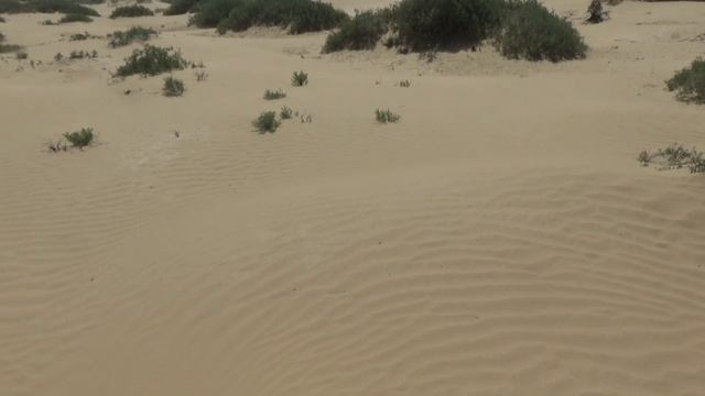 Казахстан. Пустыня.Степь.