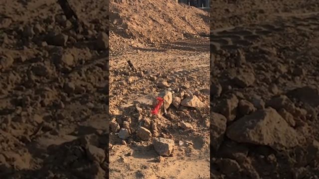 Видосик о чудесах! #негев #пустыня #земляобетованная
