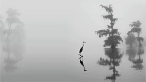 Тревожно избегающий тип привязанности в отношениях