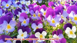 Красавица Весна. сл. и муз. С. Апасовой