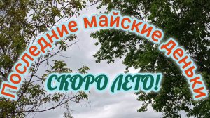 ПОСЛЕДНИЕ МАЙСКИЕ ДЕНЬКИ! СКОРО ЛЕТО!