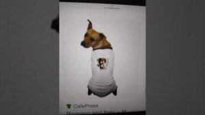 v17 - а пока мне 16 текст | English text in description