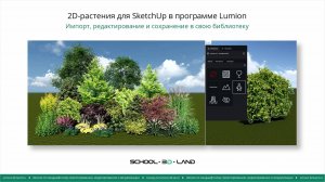 L3. 2D-растения для SketchUp в программе Lumion