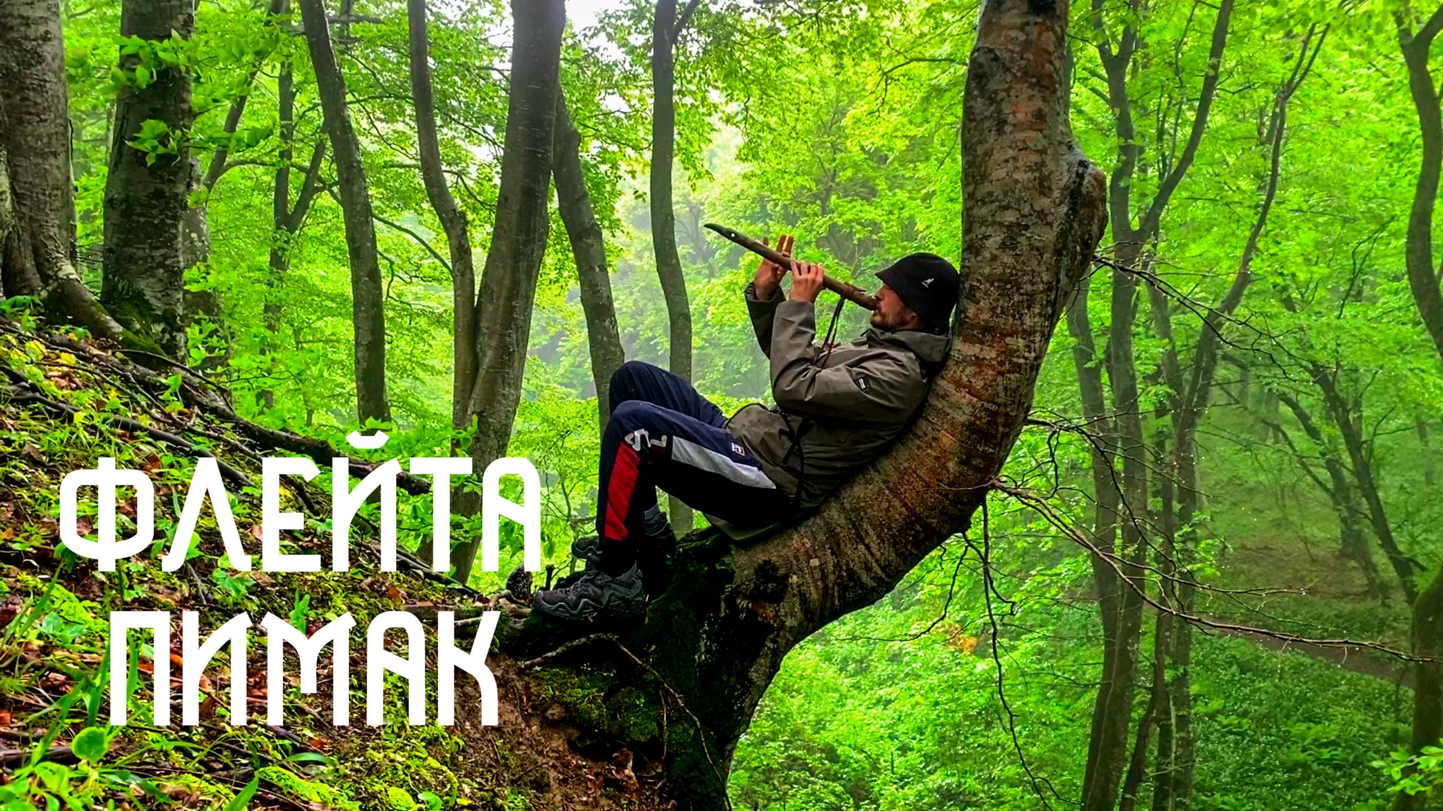 Дождь в Лесу и Флейта Североамериканских Индейцев / Музыка Души смотреть онлайн