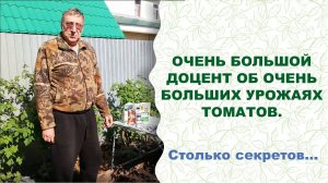 Томатная революция: ломаем стереотипы! С технологией АС-35 будет урожай, о котором вы мечтали