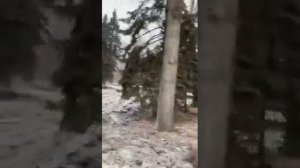 Мэр Липецка Уваркина ругается матом