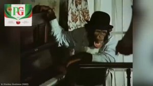 Самая странная реклама