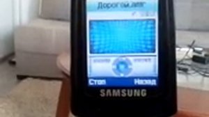 Дорогой ты где был? на Samsung SGH-E380.mp4