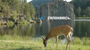 Как олень жадно воду пьет, (караоке)