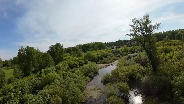 1000003215.mp4 смотреть онлайн