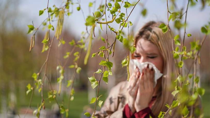 Минута по делу