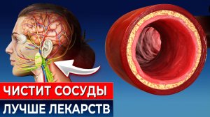 Как очистить сосуды от бляшек и тромбов: 5 проверенных рецептов