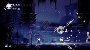 Вечные Муки. Hollow Knight