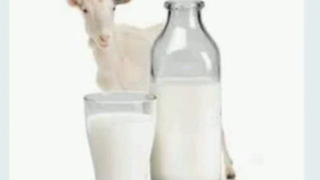 Ешкі сүтінің пайдасы#польза козьего молока/қой, сиыр. ?