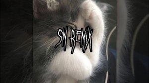 Спать - Нервы (speed up) (SN remix)