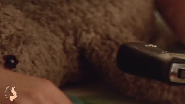 Леон и Матильда - сильная сцена из фильма «Леон» (1994) смотреть онлайн