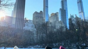 ПЕРВЫЙ ДЕНЬ В НЬЮ-ЙОРКЕ / ВЛОГ / Центральный парк, Манхэ