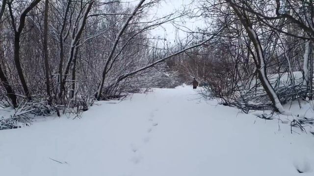 Переезд в РОССИЮ.Мы добрались!Ошибка в жизни и как не сломаться.Ремонта не будет! смотреть онлайн