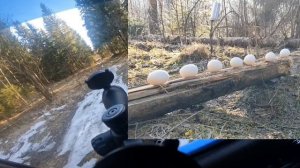 PCP Альфа Доберман стрельба по яйцам