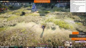 Black Desert. Оценка класса УСА наследие. По баллам.