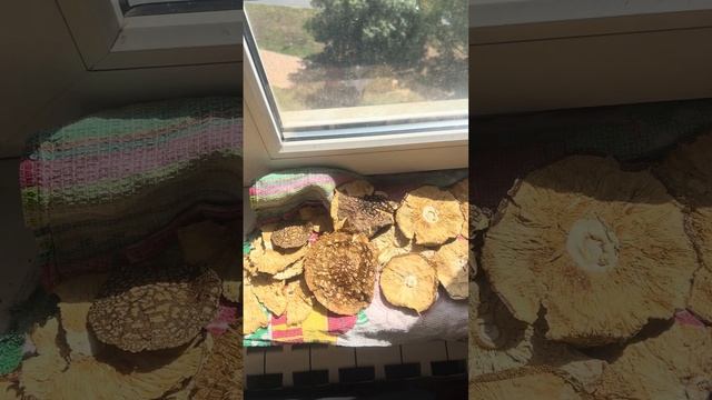 МУХОМОРЫ/СУХАРИ/ЧИПСЫ смотреть онлайн