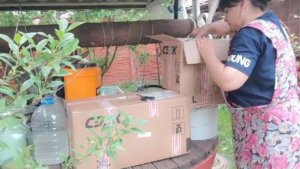 Пришло сразу две посылки. Радость и огорчения. Наконец-то у меня получилось. Жизнь семьи в деревне.