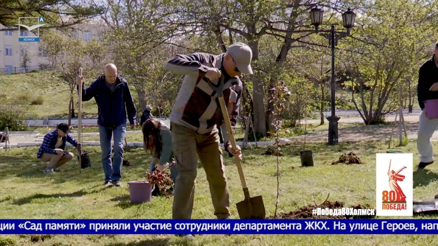 Холмский округ участвует в акции «Сад памяти» смотреть онлайн