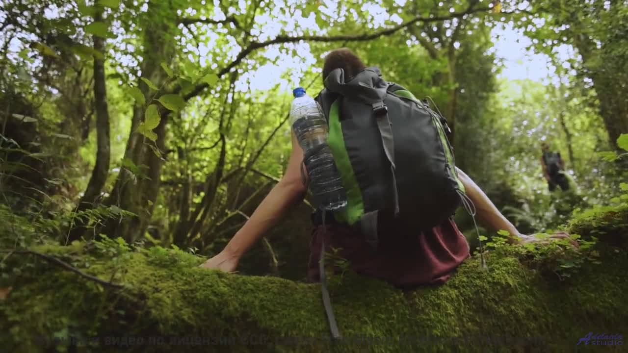 Природа и музыка объединились - смотри срочно - Space Orbit -- Scott Holmes Music -- Media Music Mix смотреть онлайн