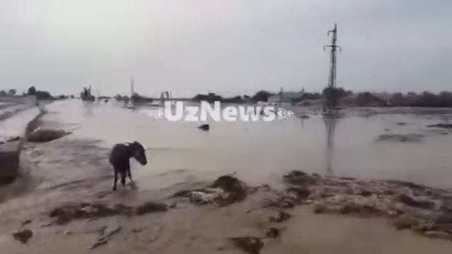 Sirdaryo САРДОБО СУВ  ОМОРИ СУВ ТОШИБ ОТИШИ  3 ВИДЕО