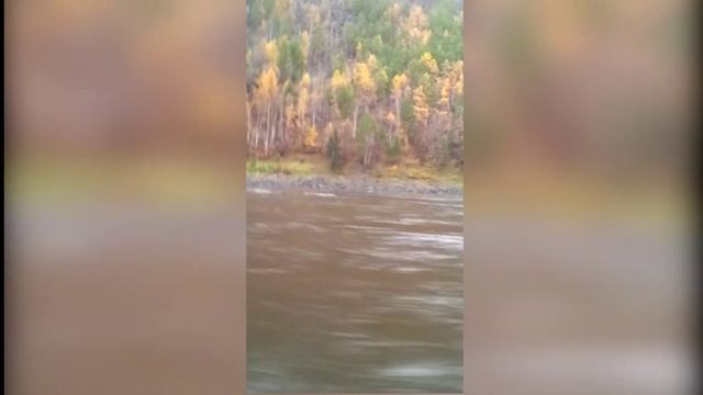 Витим берега смотреть онлайн
