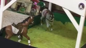 |Обзор на конюшню Шляйх|