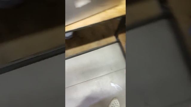 мой первый опыт, охапка дров и плов готов 😋 смотреть онлайн