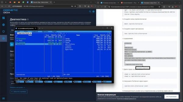 Настройка Entware + TorrServer MatriX