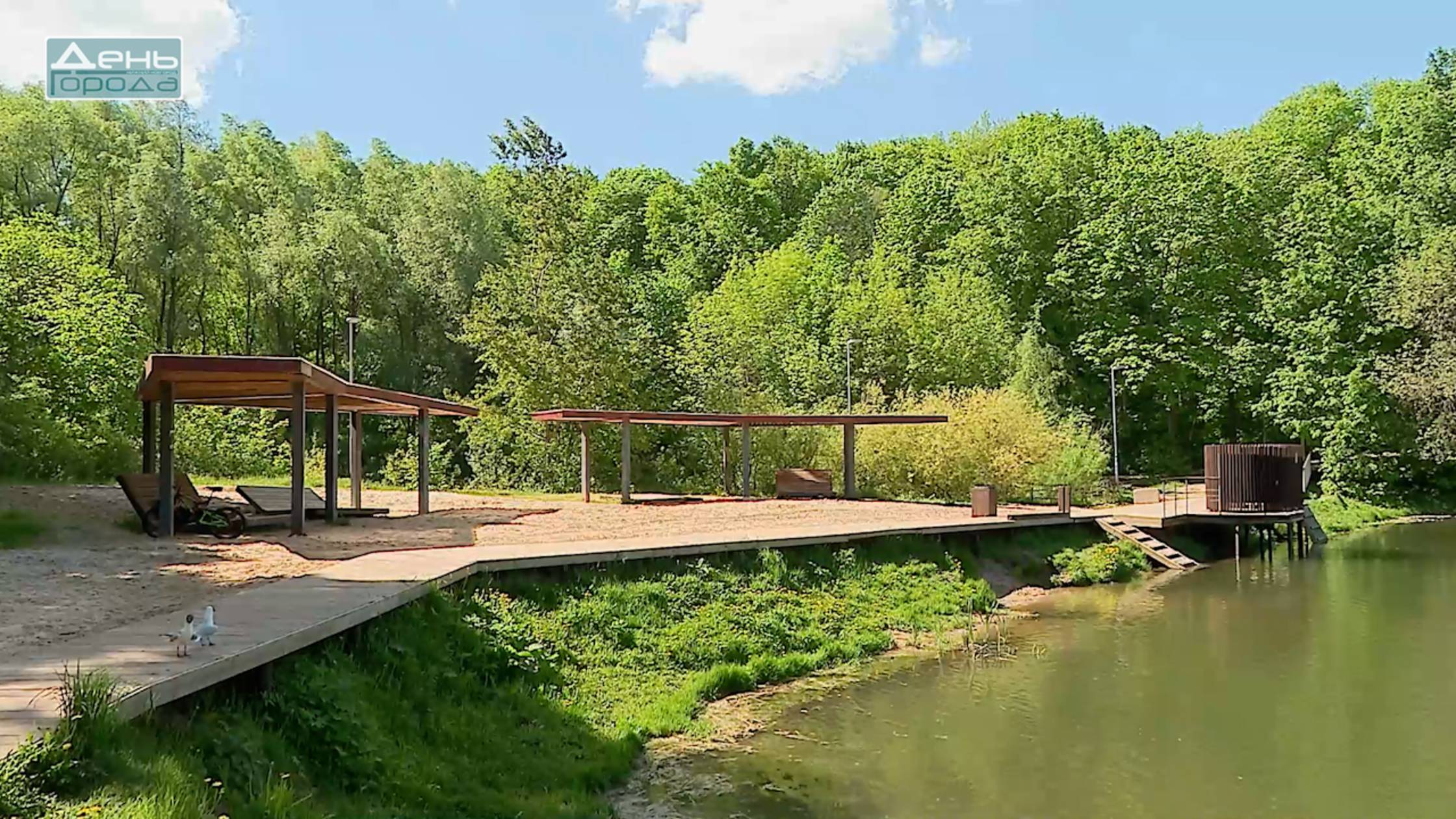 Проверка нижегородских пляжей и зон отдыха к началу пляжного сезона смотреть онлайн