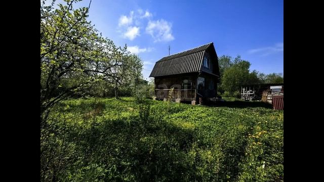 7798791 смотреть онлайн