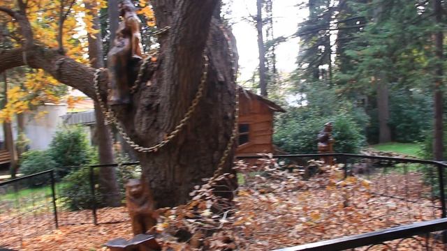 Экскурсия в Гурзуфе. Пушкинский дуб