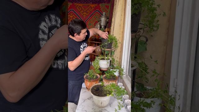 Новаторские идеи