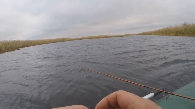 ТЕСТ ARGUMENT- 2. ПО СУДАКУ И ЩУКИ.РАБОЧИЕ ЦВЕТА СИЛИКОНА.2024