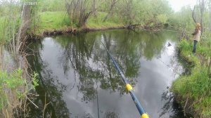 Ловля карася на речке Сарбоян.