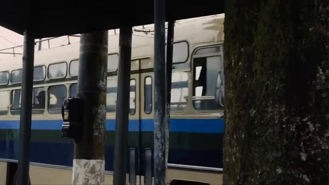 Пеле: Рождение легенды (2016) / Драма, Биография, Спорт