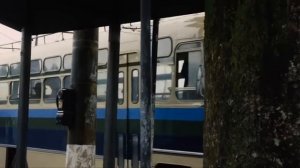 Пеле: Рождение легенды (2016) / Драма, Биография, Спорт